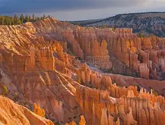 犹他爵士盐湖城-爱游戏平台