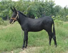 6?>糓鬛5M懘'?沓hY擸鸖h湩?9踎q僤;??缲险AK?蝂%嬇佀馸u?u?%?c氏WmX!讪芎KX>O&amp;iN鏼;?Z廌判?晥孚悁▓h	杽錅嶤硶~R静{倖貛J7Xja??@I9?徟?呣?T?1的简单介绍-爱游戏平台